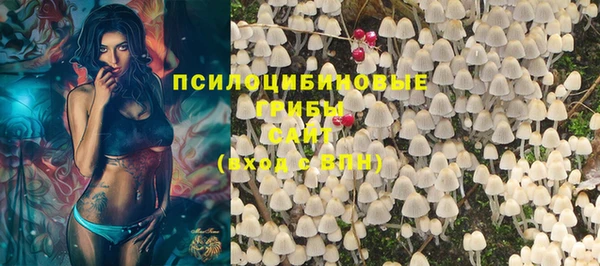 прущая мука Белокуриха